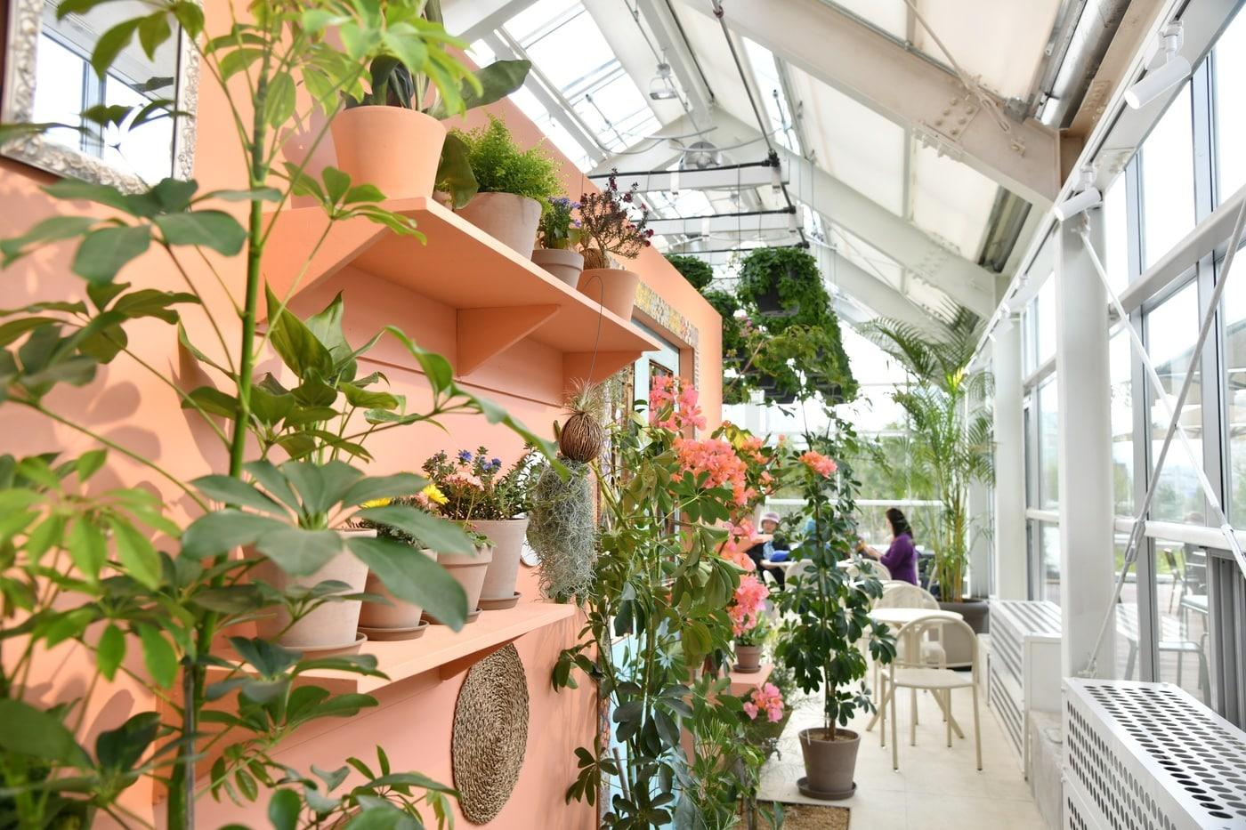 본문 이미지 - 정원지원센터와 카페포레스트 내부(노원구 제공)