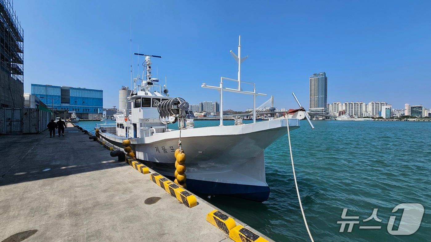 본문 이미지 - 해양수산부가 2일 경북 포항시 송도수협 부두에서 국내 최초로 개발한 전기복합추진 어선 취항식을 개최했다.  송도수협 부두에 정박돼 있는 전기복합추진 어선. 2026.4.2/뉴스1 최창호 기자  
