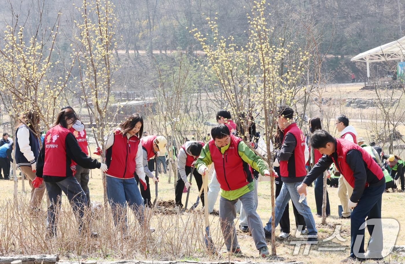 본문 이미지 - 제81회 식목일을 앞둔 2일 대전 대덕구 장동문화공원 일원에서 진행된 나무심기 행사에서 대전관광공사 직원들이 나무를 심고 있다. 2026.4.2 ⓒ 뉴스1 김기태 기자