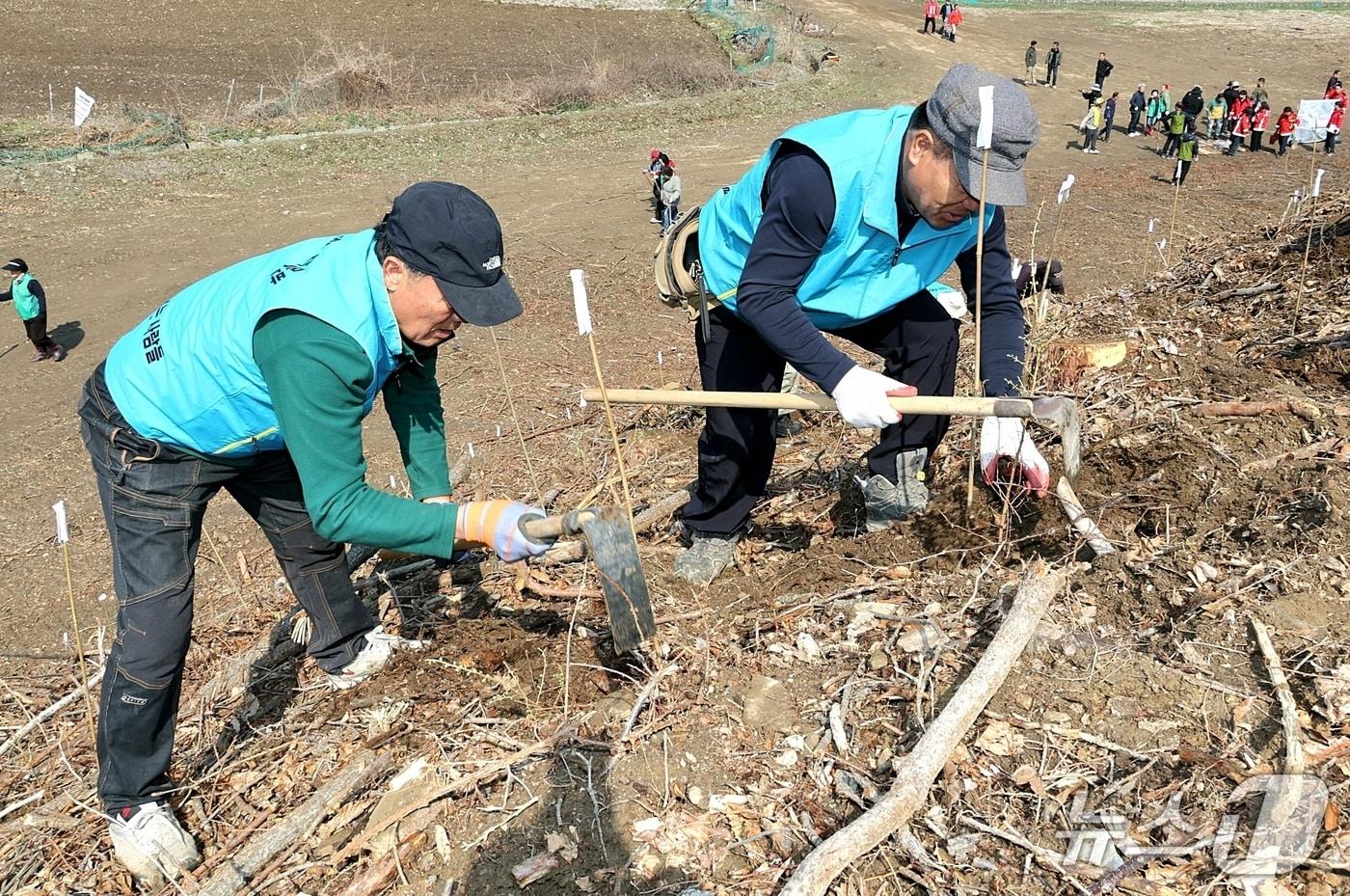 본문 이미지 - 충북 괴산군은 81회 식목일을 맞아 2일 문광면 광덕리 일원에서 나무 심기 행사를 진행했다.(괴산군 제공. 재판매 및 DB금지)