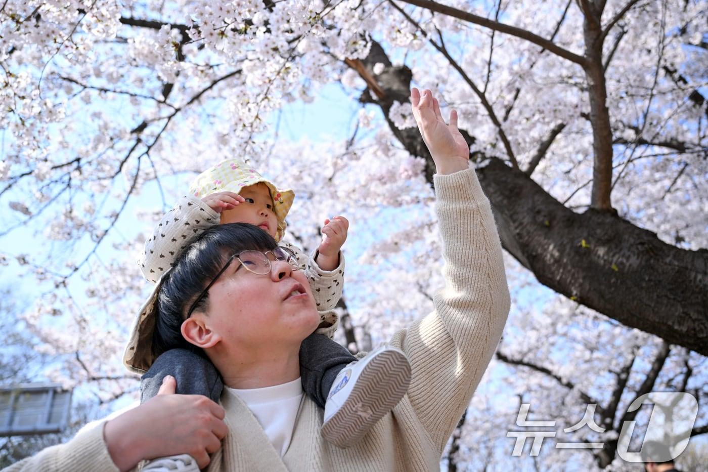 본문 이미지 -  서울 여의도 윤중로에서 한 시민이 아이와 함께 기념촬영을 하고 있다. 2026.4.2 ⓒ 뉴스1 최지환 기자