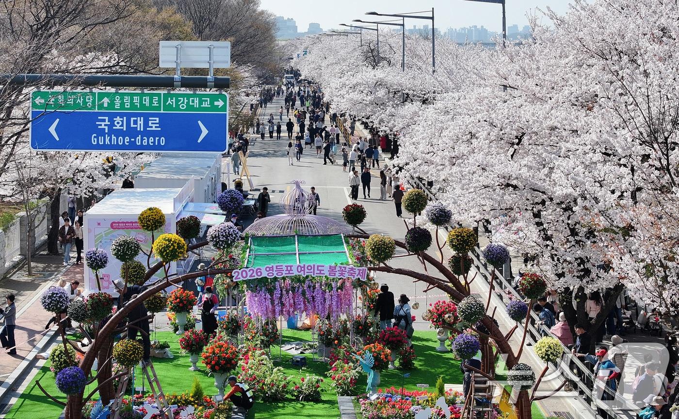 본문 이미지 - '여의도 봄꽃축제'를 앞두고 서울 여의도 윤중로에 벚꽃이 만개해 있다. 2026.4.2 ⓒ 뉴스1 최지환 기자