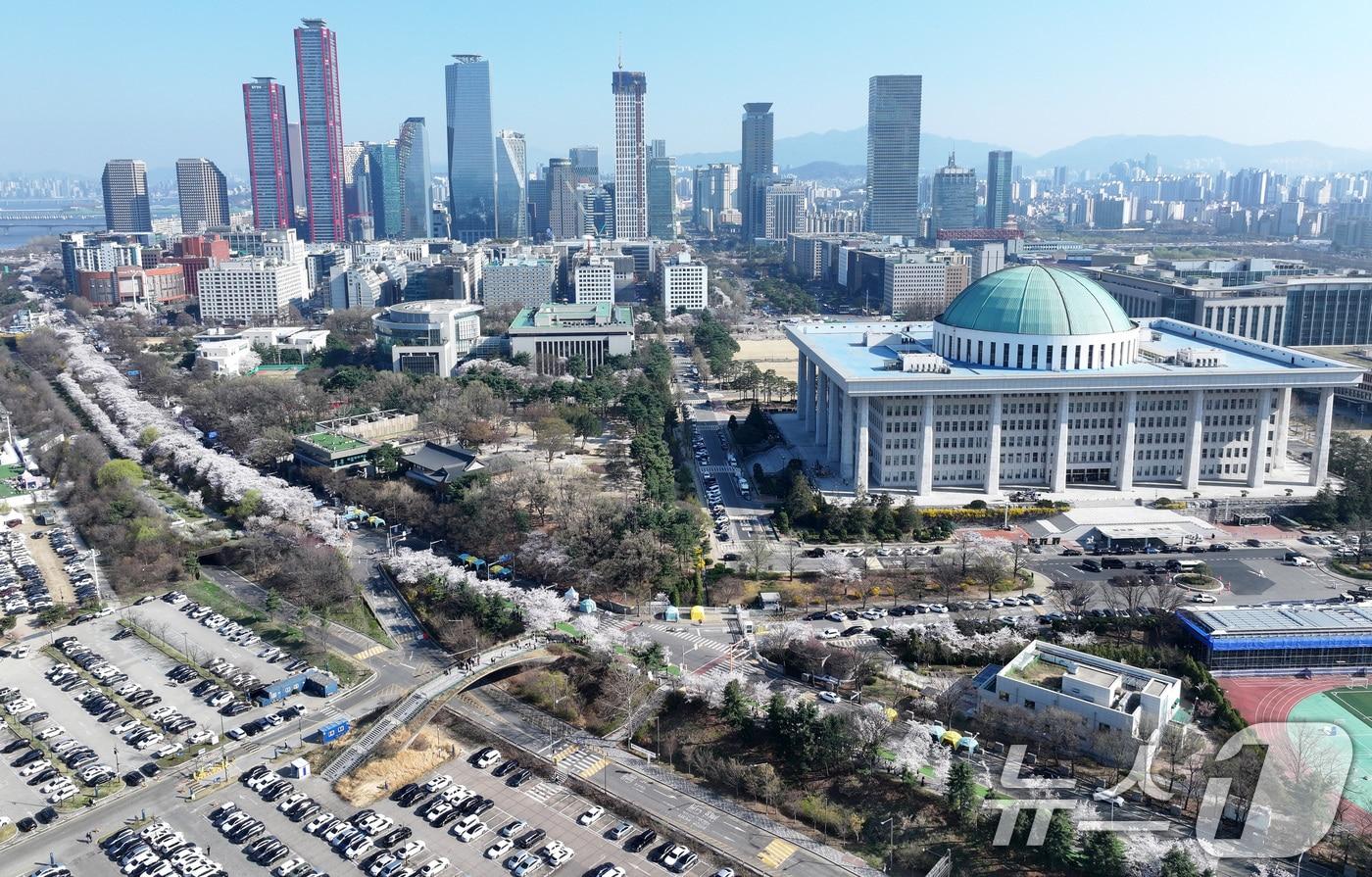 본문 이미지 - '여의도 봄꽃축제'를 하루 앞둔 2일 서울 여의도 윤중로에 벚꽃이 만개해 있다. 2026.4.2 ⓒ 뉴스1 최지환 기자