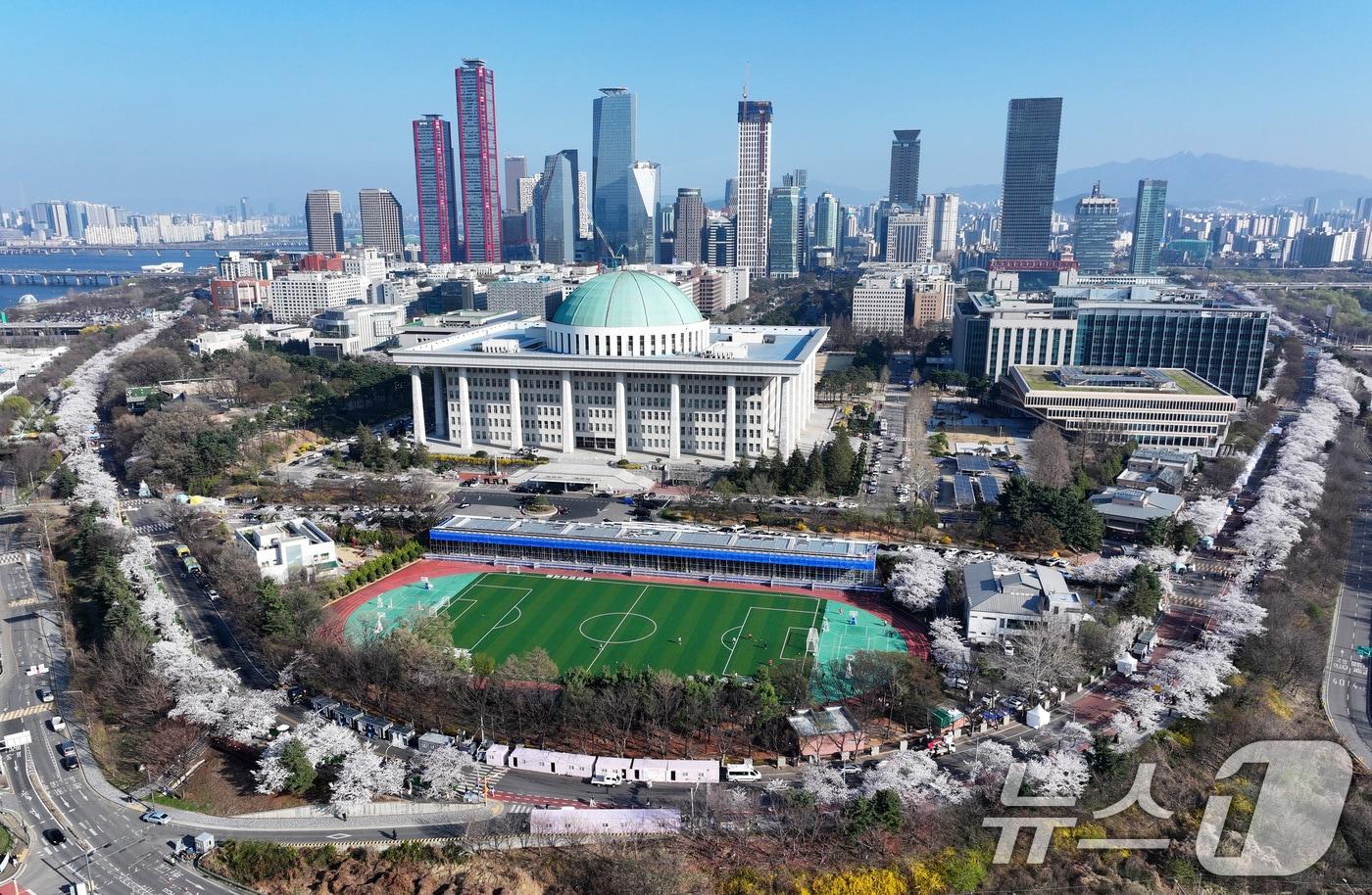본문 이미지 - '여의도 봄꽃축제'를 하루 앞둔 2일 서울 여의도 윤중로에 벚꽃이 만개해 있다. 2026.4.2 ⓒ 뉴스1 최지환 기자
