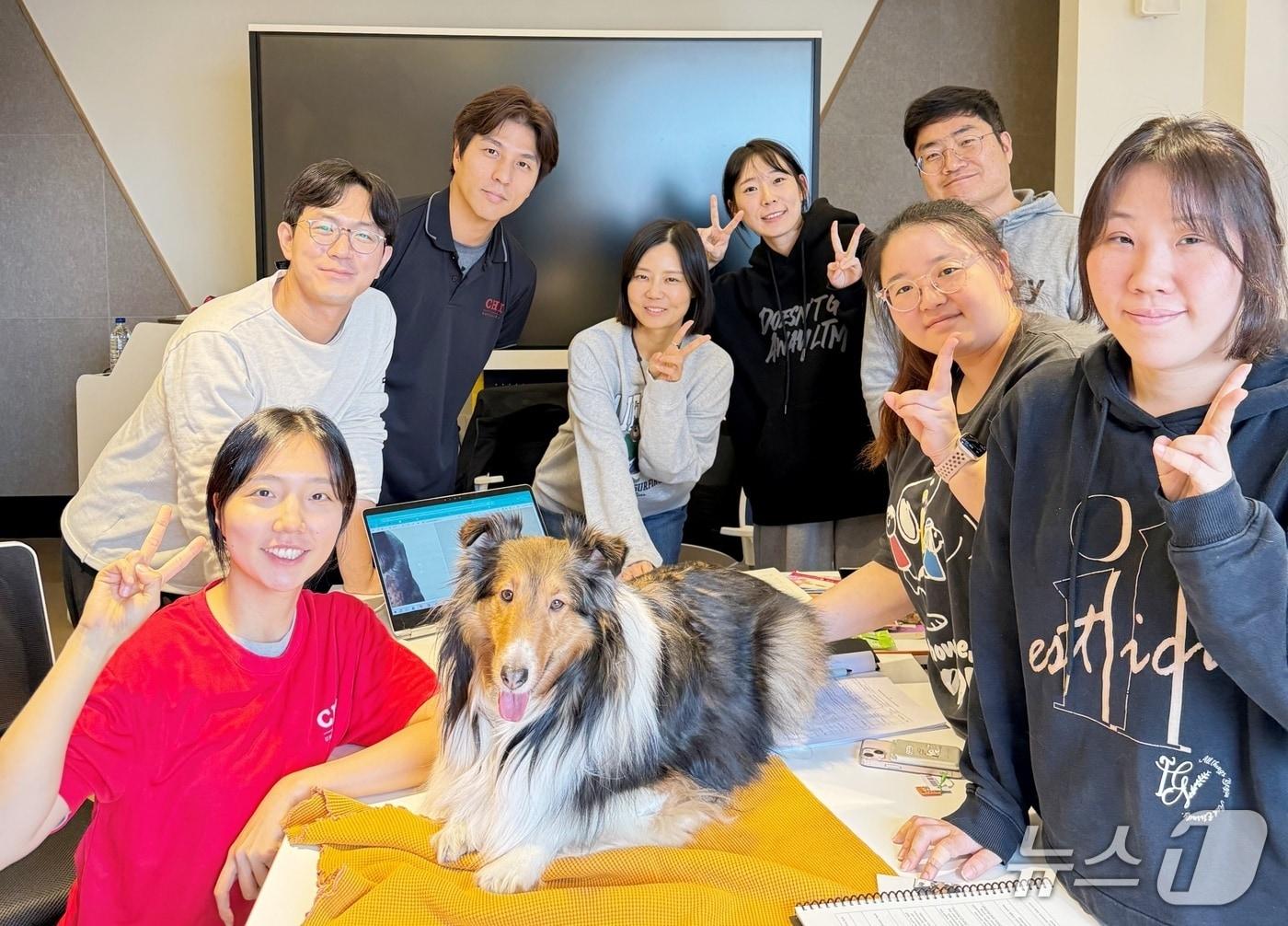 본문 이미지 - 침치료 인증수의사 양성을 위한 'CVA 2단계' 교육이 3월 열렸다(치 유니버시티 한국지부 제공) ⓒ 뉴스1