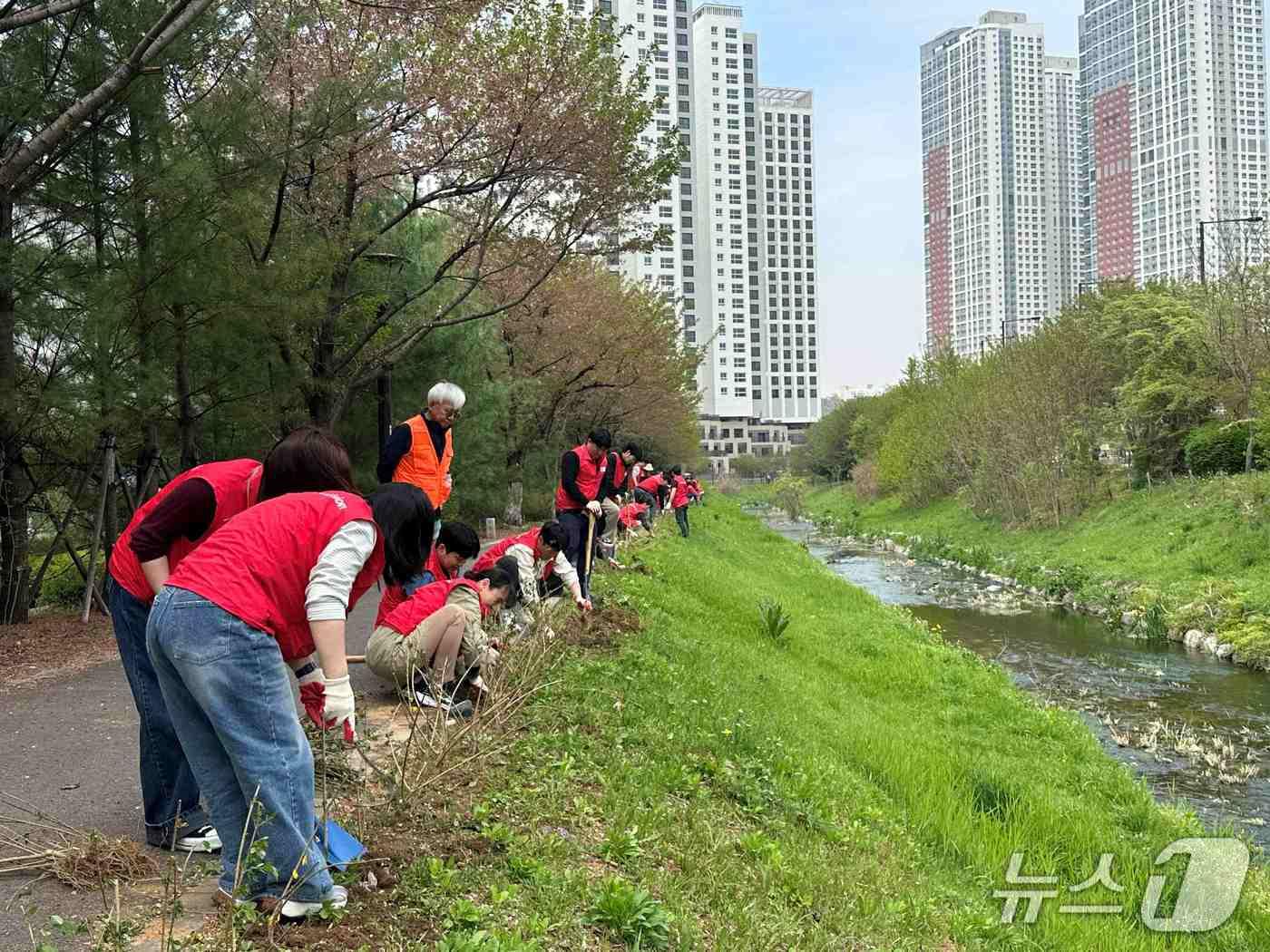 본문 이미지 - LG헬로비전 임직원들이 봄을 맞아 지역사회 환경을 정비하고 도심 속 녹색 가치를 더하는 '에코나눔 DAY' 활동을 전개했다. (LG헬로비전 제공)