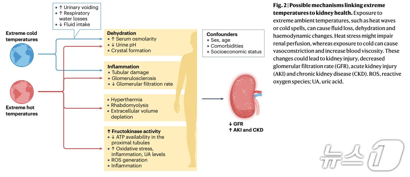 본문 이미지 - 부산대 이환희 교수팀 연구 이미지. (부산대 제공. 재판매 및 DB 금지)