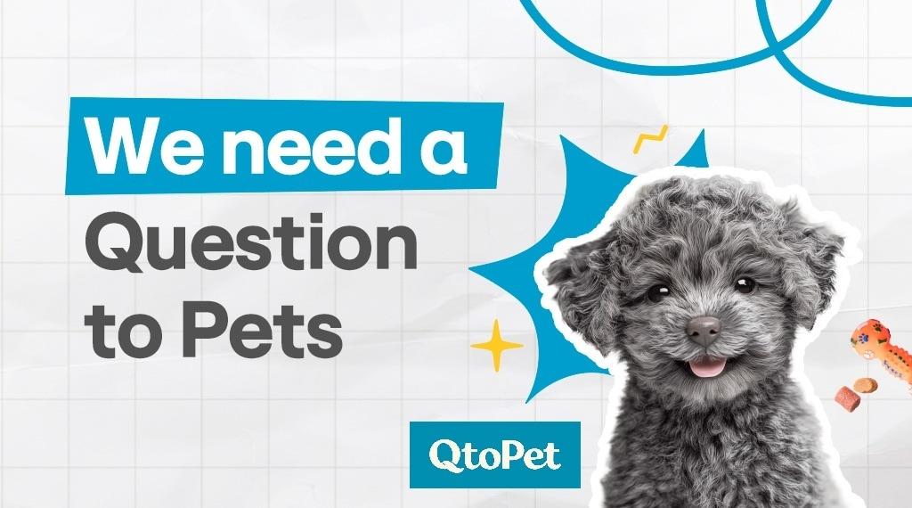 본문 이미지 - (hy 제공)