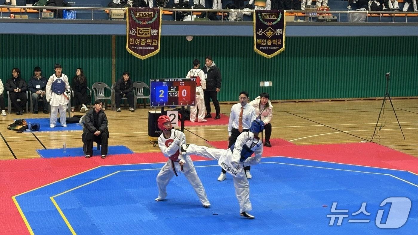 본문 이미지 - 대표 선발전 모습.(부산시교육청 제공. 재판매 및 DB금지)