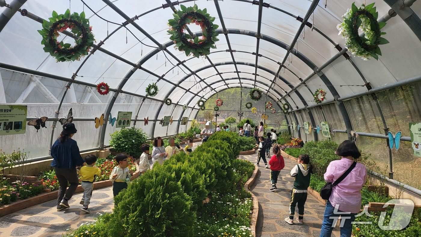본문 이미지 - 울산시설공단, 울산대공원 생태여행관 나비정원 4월 21일부터 운영