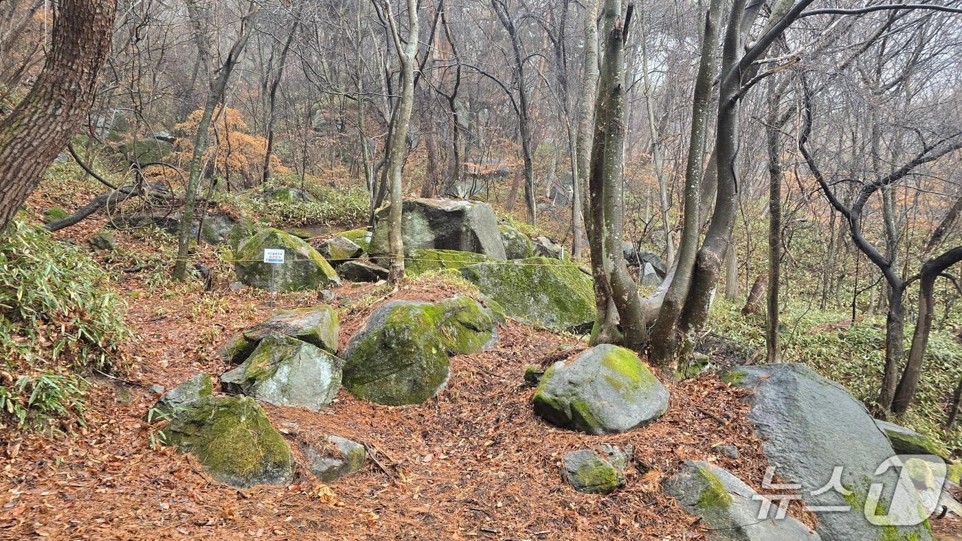 본문 이미지 - 고려시대 초기 것으로 추정되는 제천시 송학면 '소악사지' 절터.(제천시 제공. 재판매 및 DB금지)  