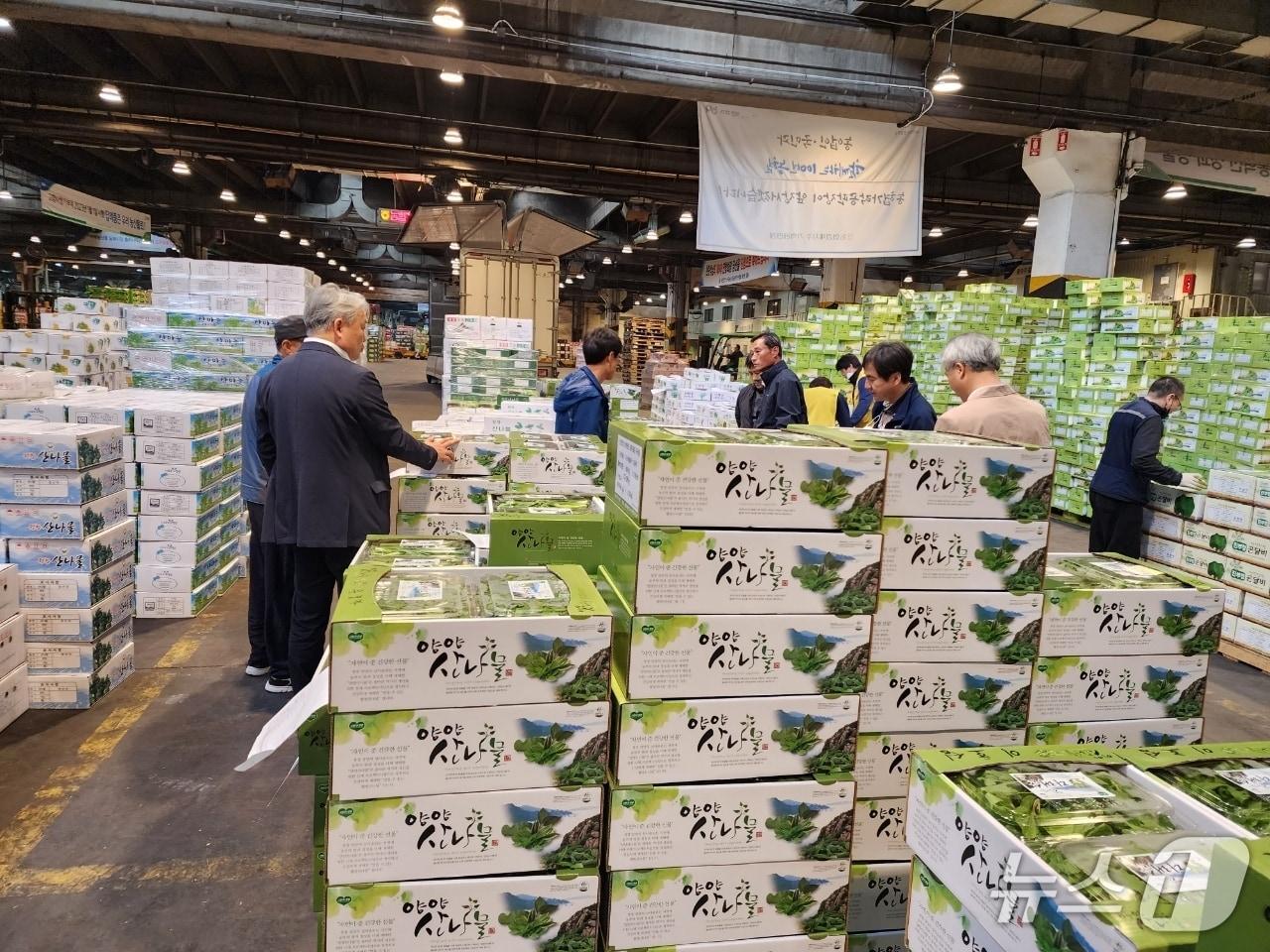 본문 이미지 - 농협가락공판장에 진열된 양양 산나물.(양양군 제공, 재판매 및 DB 금지) 2026.4.20/뉴스1