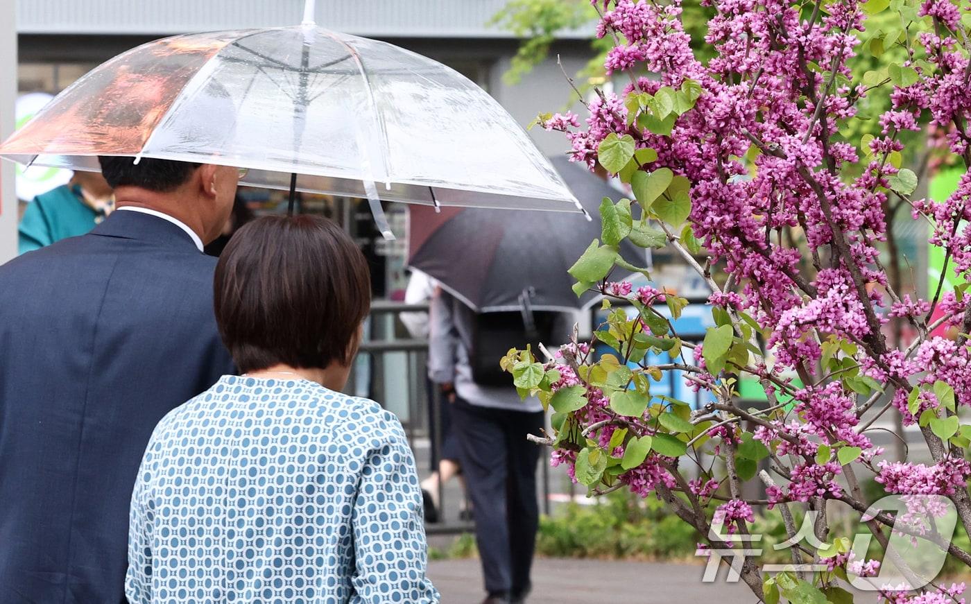 본문 이미지 - 봄비가 내린 20일 오후 서울 종로구 광화문광장에서 시민들이 우산을 쓰고 발걸음을 옮기고 있다. 2026.4.20 ⓒ 뉴스1 최지환 기자
