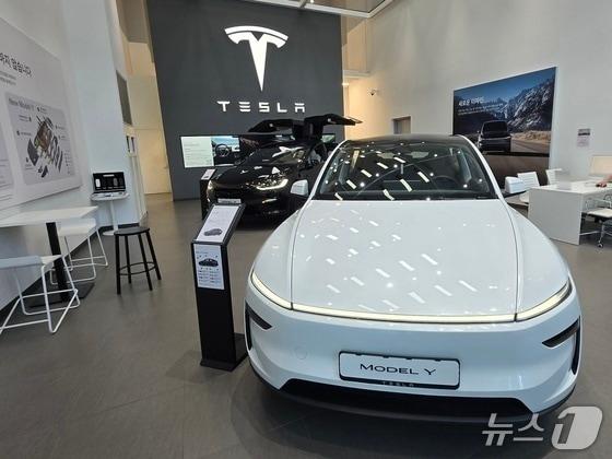 본문 이미지 - 지난 1월 서울 영등포 소재 테슬라 여의도 스토어에 테슬라 중형 전기 SUV '모델Y'(앞)와 준대형 전기 SUV '모델X'가 전시된 모습(자료사진). 2026.01.11/뉴스1 김성식 기자