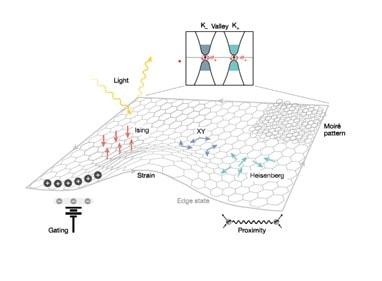 본문 이미지 - 2차원 반데르발스 자성체가 여는 새로운 물리적 현상.(과기정통부 제공)