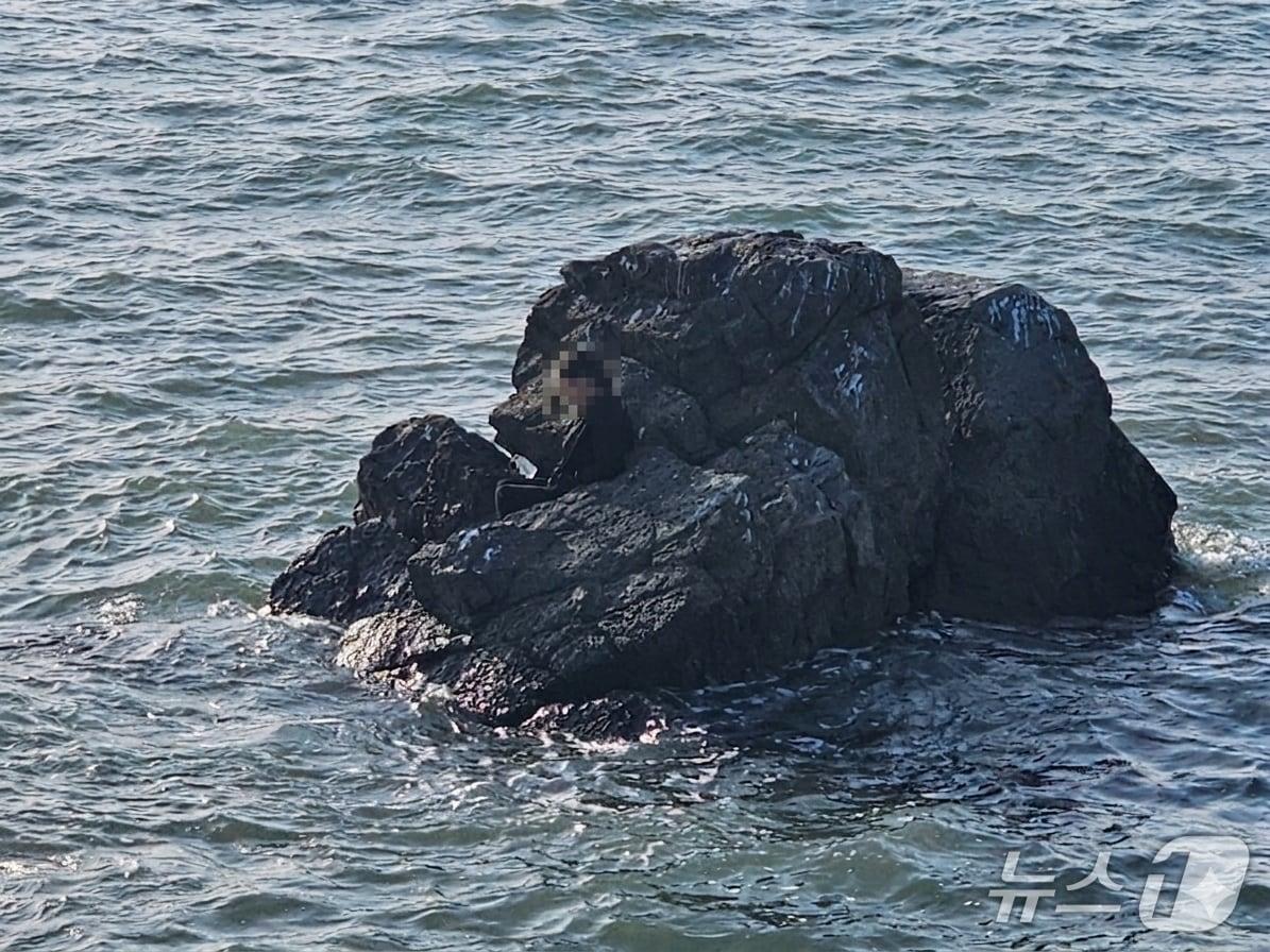 본문 이미지 - 갯바위에 고립된 여성. (평택해경 제공. 재판매 및 DB 금지) 2026.4.20/뉴스1