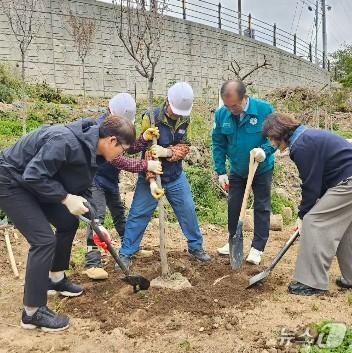 본문 이미지 - 산림 훼손 요소를 제거한 부지에 나무를 심는 조림사업을 진행하고 있다.(사상구 제공. 재판매 및 DB금지)