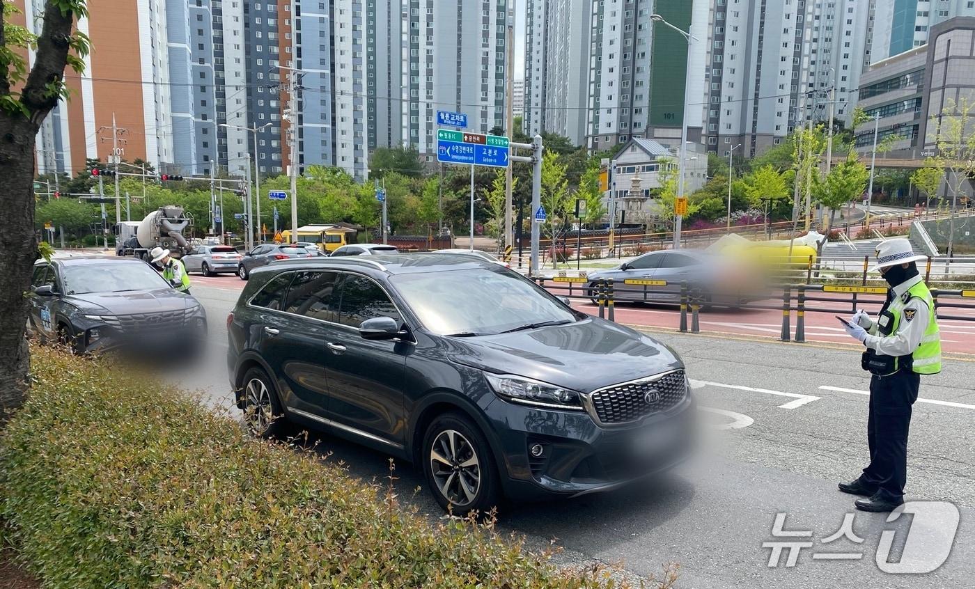 본문 이미지 - 부산경찰청 교통과에서 '교차로 우회전 시 일시 정지' 집중 단속을 실시하는 모습. (부산경찰청 제공. 재판매 및 DB금지)