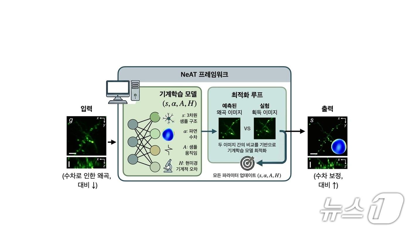 본문 이미지 - 형광 현미경 왜곡 보정을 위한 프레임워크(KAIST 제공) /뉴스1