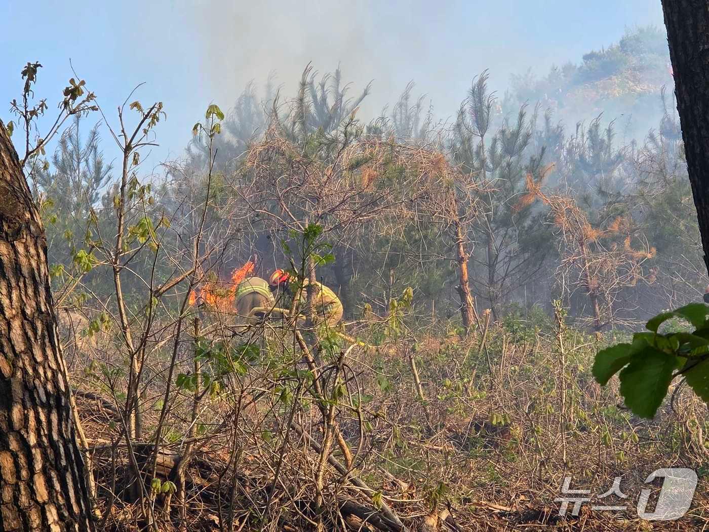 본문 이미지 - 21일 오전 7시 43분쯤 강원 양양군 서면 논화리 모처에서 화재가 발생해 소방당국이 진화 중이다. (강원도 소방본부 제공. 재판매 및 DB금지)2026.4.21/뉴스1