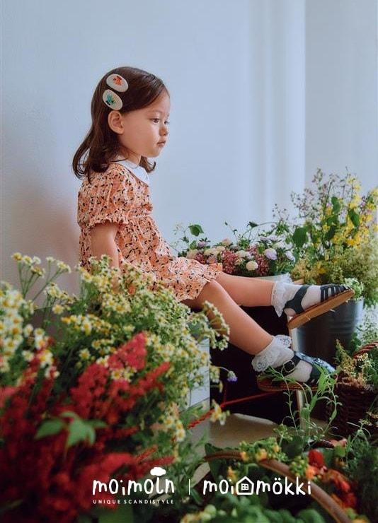 본문 이미지 - (모이몰른 제공)