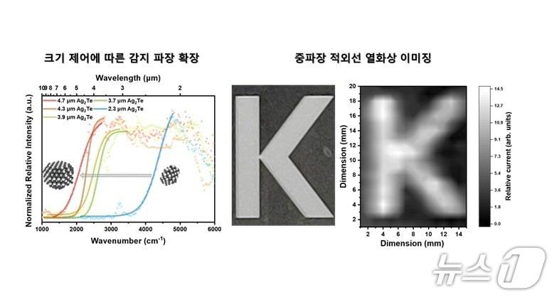 본문 이미지 - 텔루륨화은 양자점 광검출 소자의 중파장 적외선 감지 파장 확장 및 열화상 이미징(정광섭 고려대학교 교수) /뉴스1