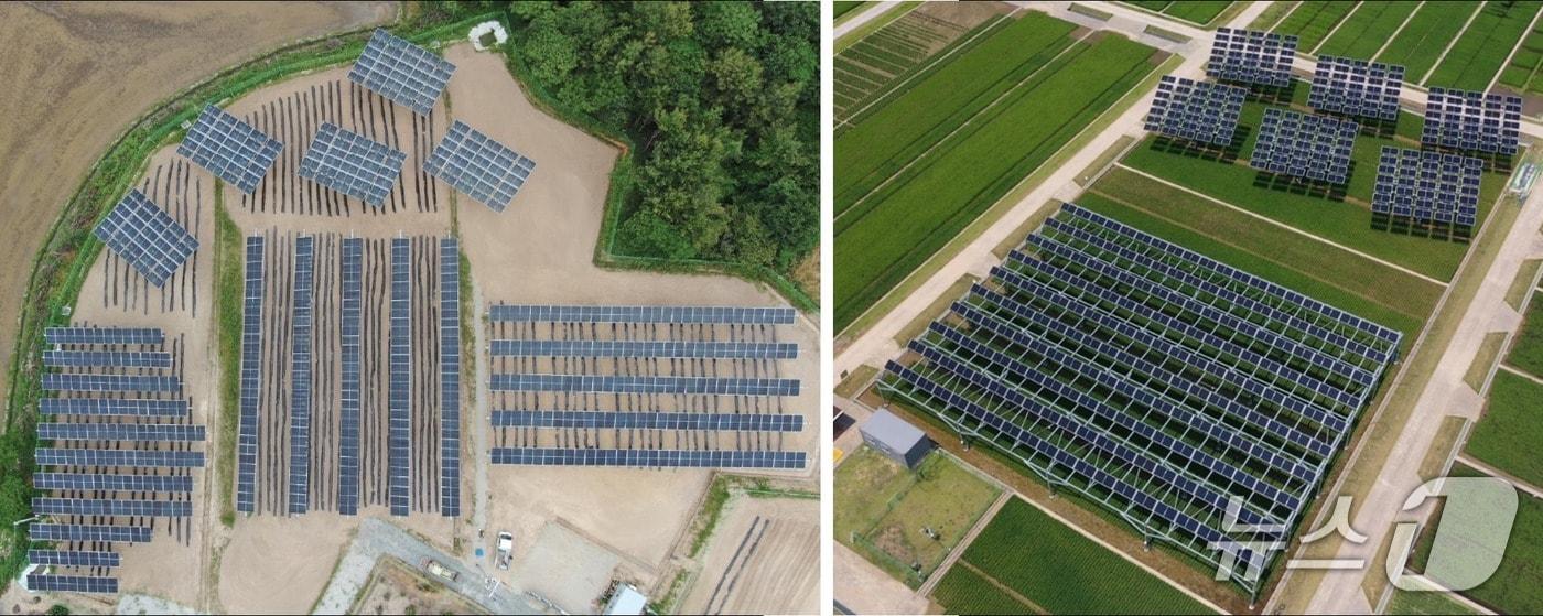 본문 이미지 - 파루의 영농형 태양광 테스트베드(파루솔라연구소 제공) 