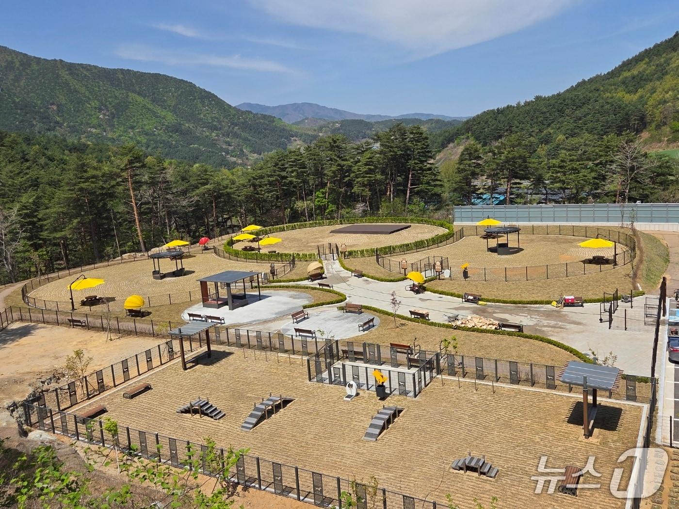 본문 이미지 - 27일 임시개장하는 강릉 펫파크 전경.(강릉시 제공, 재판매 및 DB 금지) 2026.4.21/뉴스1