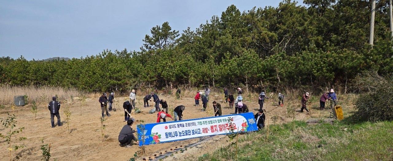 본문 이미지 - 보령 삽시도 동백나무 식재 모습.(시 제공. 재판매 및 DB금지)/뉴스1