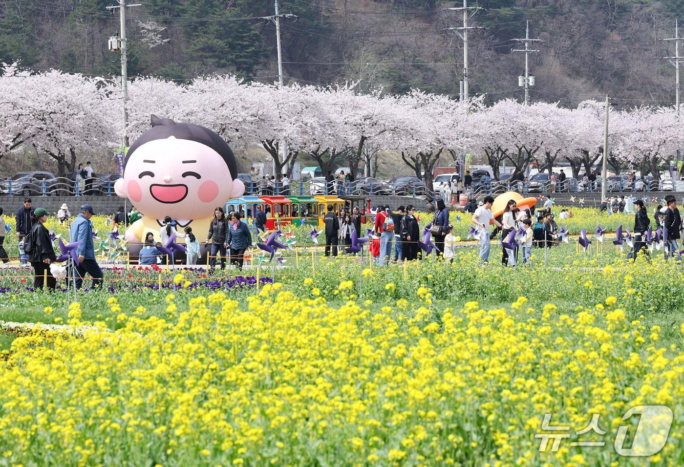 본문 이미지 - 삼척 맹방유체꽃축제 현장.(삼척시 제공, 재판매 및 DB 금지) 2026.4.21/뉴스1