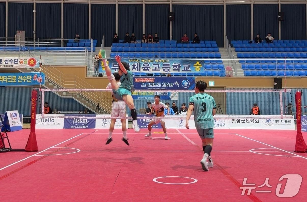 본문 이미지 - 중부대학교 세팍타크로팀이 2024년 창단 이래 첫 전국대회 정상에 올랐다.(중부대학교 제공.재판매 및 DB금지)/뉴스1