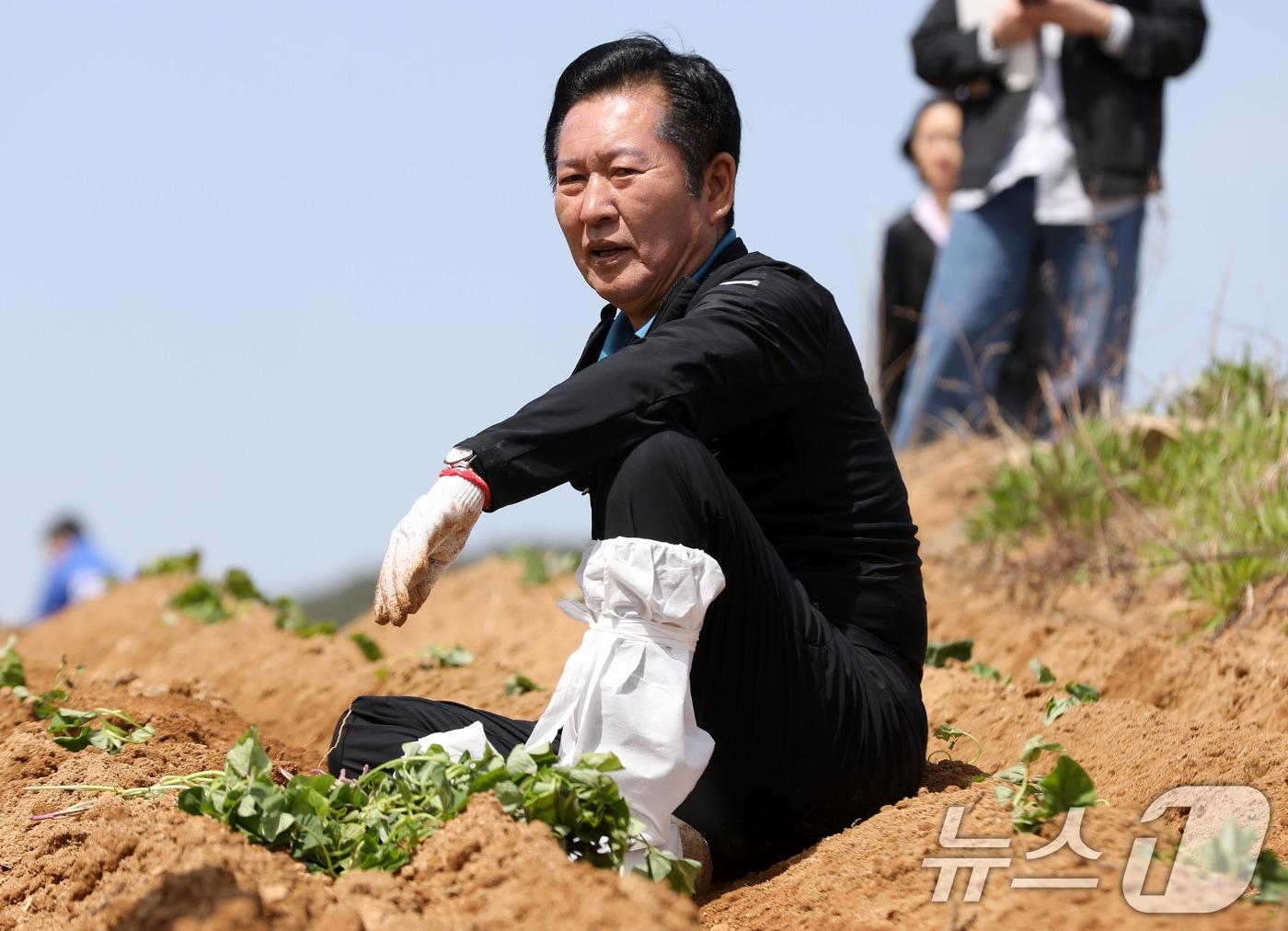 본문 이미지 - 정청래 더불어민주당 대표가 21일 오후 경남 통영 욕지도 한 고구마 재배 현장을 찾아 고구마 순을 심은 뒤 휴식을 취하고 있다. 2026.4.21 ⓒ 뉴스1 윤일지 기자