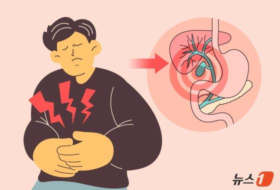 본문 이미지 - 담낭에 생기는 암을 '담낭암'이라고 하는데 발생 빈도는 낮으나 5년 생존율이 5~10%에 불과해 주의가 요구된다. ⓒ 뉴스1 김지영 디자이너