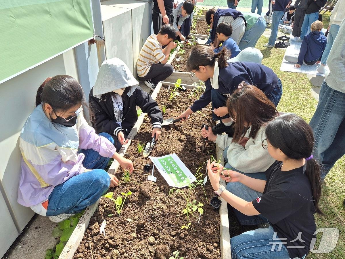 본문 이미지 - 21일 제주북초등학교에서 열린 스쿨팜 시범사업 개장식.(농협 제주본부 제공. 재판매 및 DB 금지)