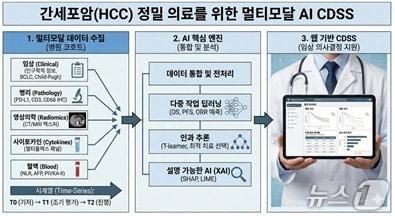 본문 이미지 - 국내 연구진이 간세포암(HCC) 환자의 예후를 예측하고 최적의 치료 전략을 제시하는 인공지능(AI) 모델 개발에 나섰다.(가톨릭대 서울성모병원 제공)