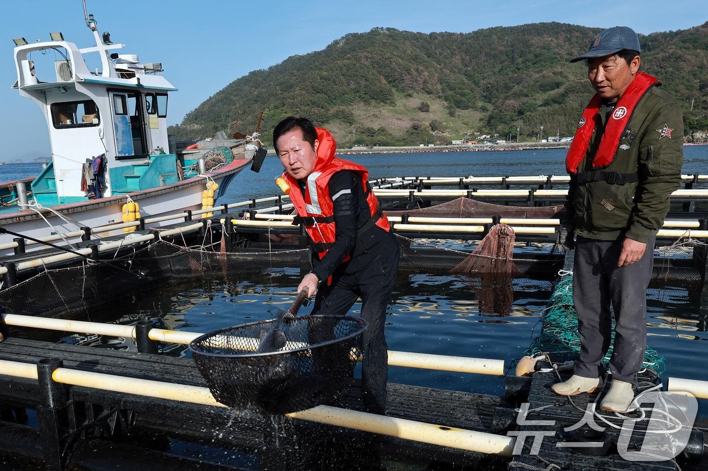 본문 이미지 - 정청래 더불어민주당 대표가 21일 오후 경남 통영 욕지도 한 고등어 양식장을 찾아 뜰채를 이용해 우럭을 잡고 있다. (공동취재) 2026.4.21 ⓒ 뉴스1 윤일지 기자