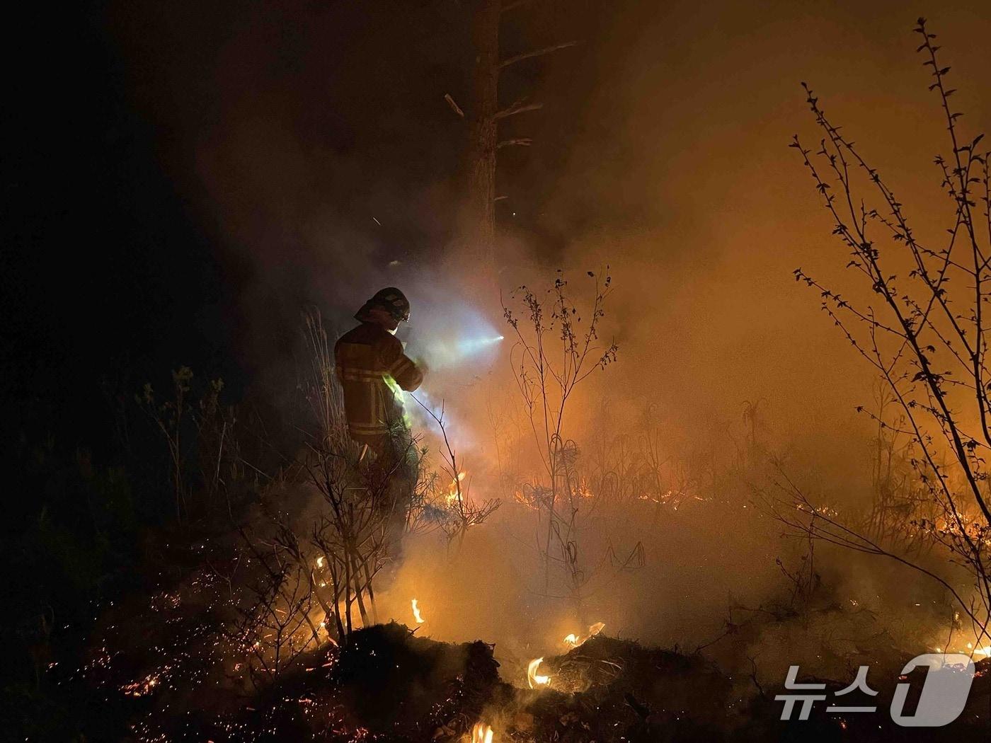 본문 이미지 - 강원 영월군 영월읍 영흥리 산불 현장.(강원도 제공, 재판매 및 DB금지)