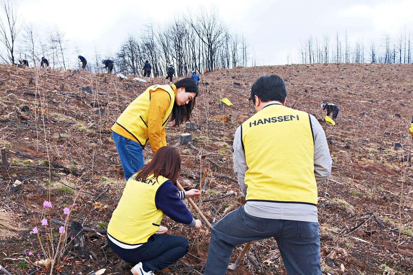 본문 이미지 - 한샘 임직원들이 경상북도 안동시 산불피해지(한샘숲 3호 조성지)에 산벚나무를 식재하고 있다.(한샘 제공)