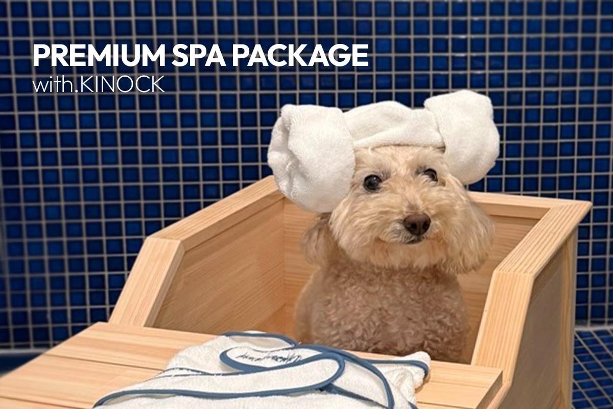 본문 이미지 - 프리미엄 온천수 스파 패키지(키녹 제공)