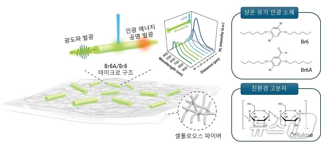 본문 이미지 - 친환경 셀룰로스 기반 인광 가이딩 이미지.(인하대 제공. 재배포 및 DB금지)2026.4.22/뉴스1