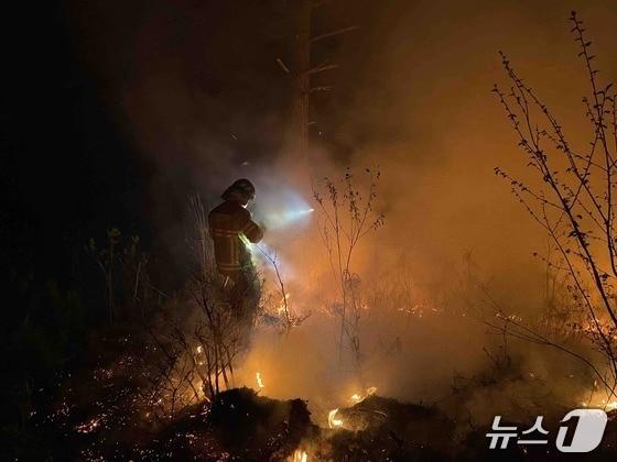 본문 이미지 - 지난 21일 강원 영월군 영월읍 영흥리 한 야산에서 발생한 화재 사고 자료 사진. (재판매 및 DB금지)/뉴스1