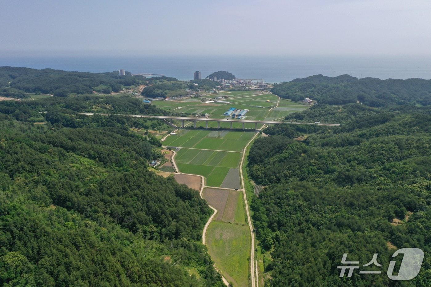 본문 이미지 - 인구지구 대구획 경지정리사업 현장 전경.(양양군 제공, 재판매 및 DB 금지) 2026.4.22/뉴스1