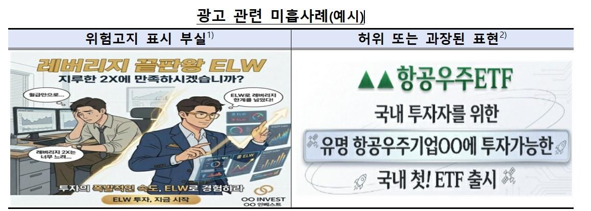 본문 이미지 - (금융감독원 제공). ⓒ 뉴스1