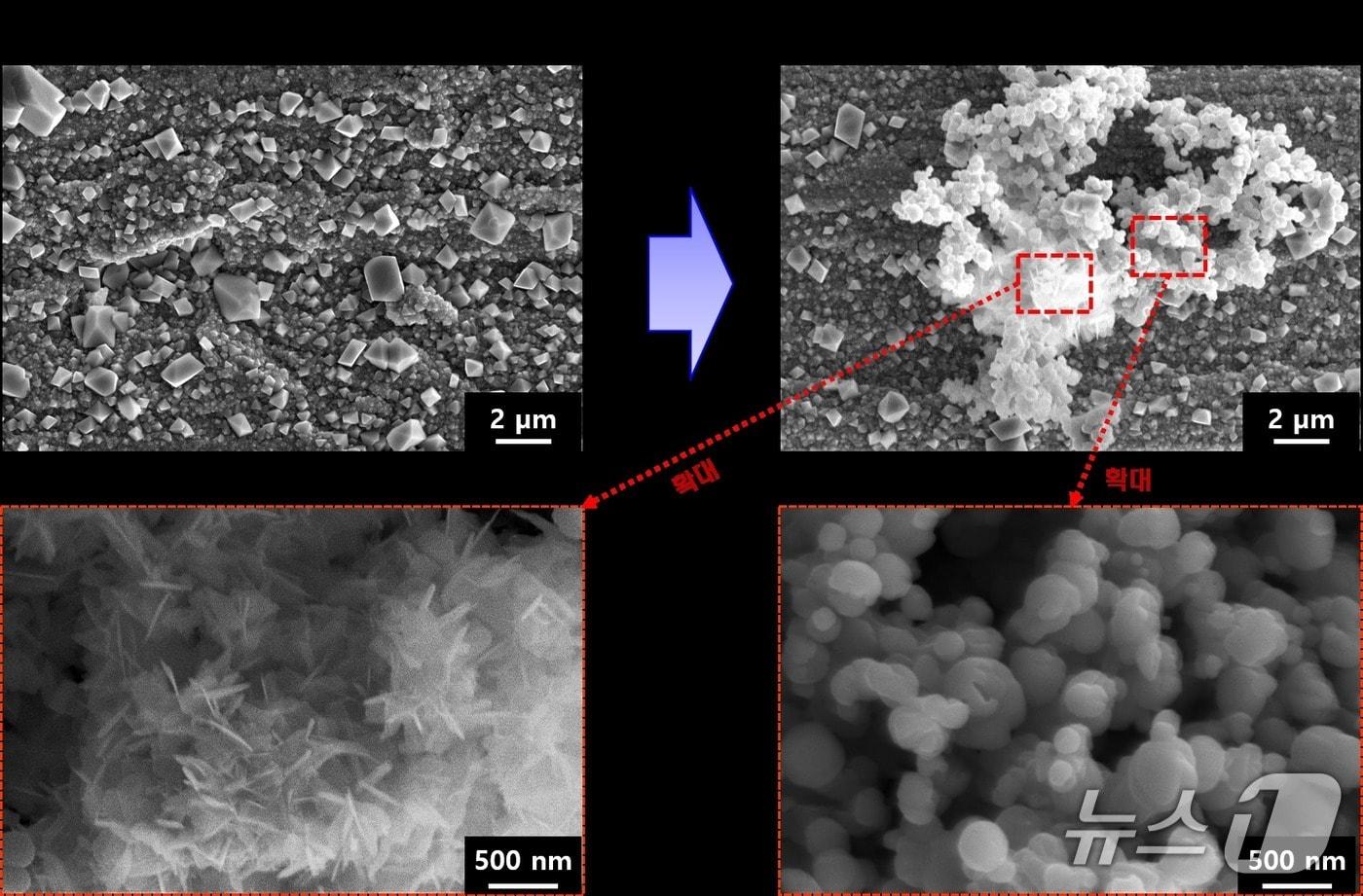 본문 이미지 - 감시시편의 대기부식 전후 비교(한국원자력연구원 제공) /뉴스1