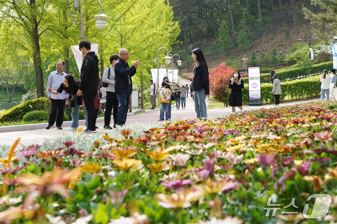 본문 이미지 - 청남대 영춘제(제공. 재판매 및 DB금지)