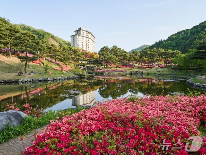 본문 이미지 - 엘리시안 강촌 리조트./뉴스1