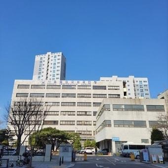 본문 이미지 - 법무부 서울출입국·외국인청 이민특수조사대 전경.