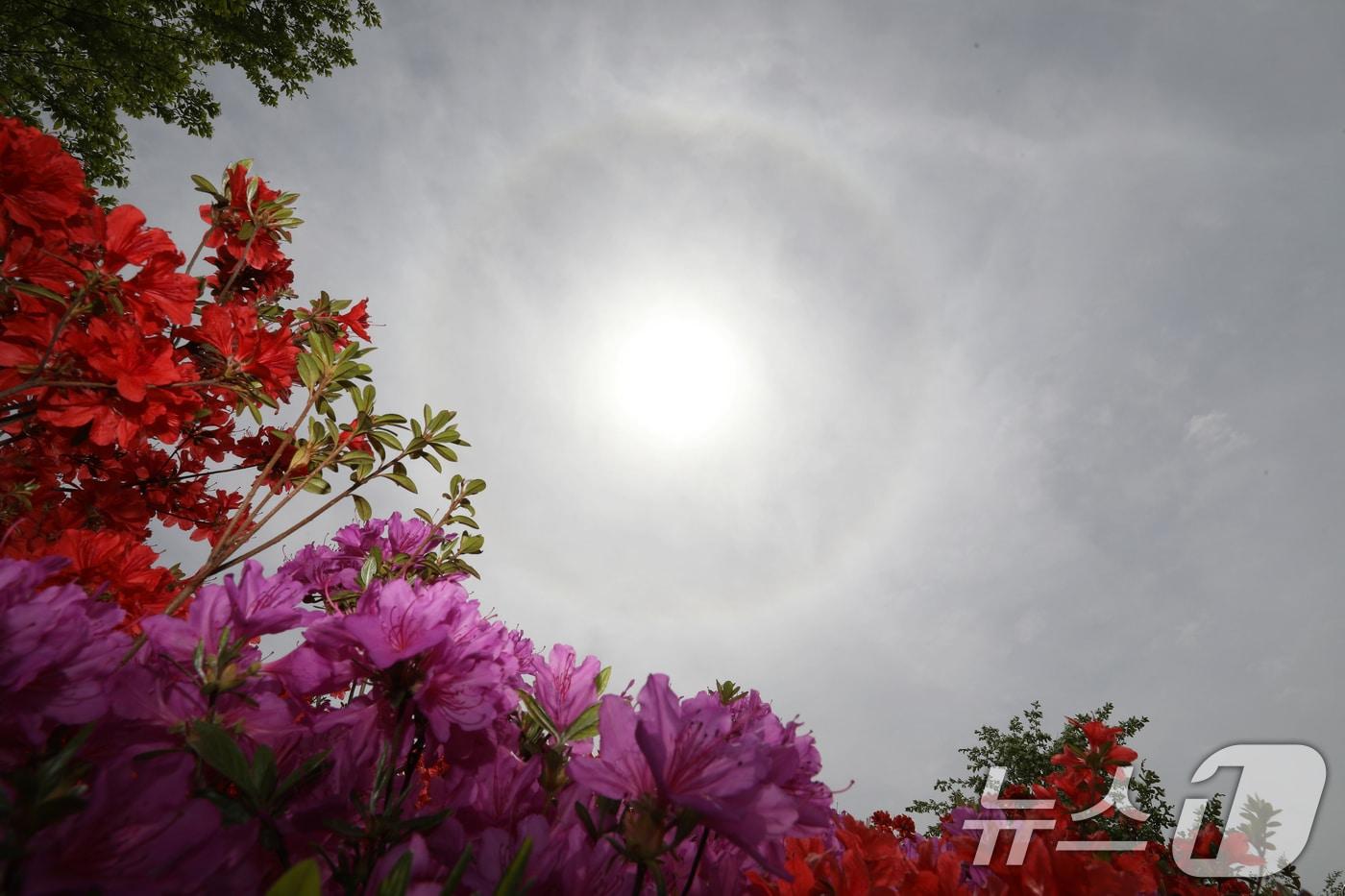 본문 이미지 - 날씨 자료 사진. 2026.4.23 ⓒ 뉴스1 윤일지 기자