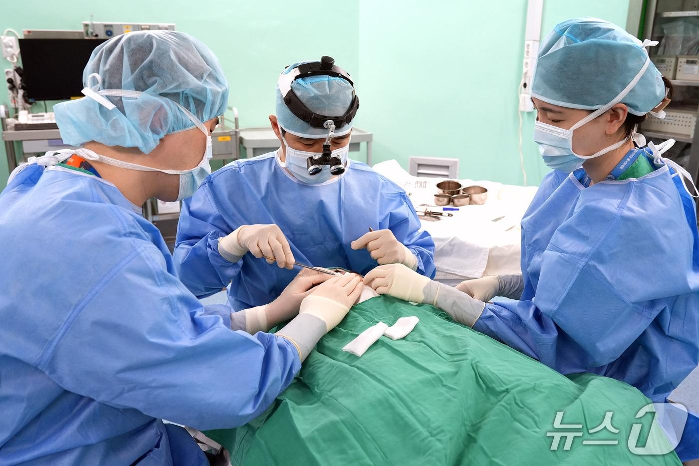 본문 이미지 - 단국대병원 피부과 박병철 교수가 수술을 집도하는 모습. (단국대병원 제공. 재판매 및 DB금지)