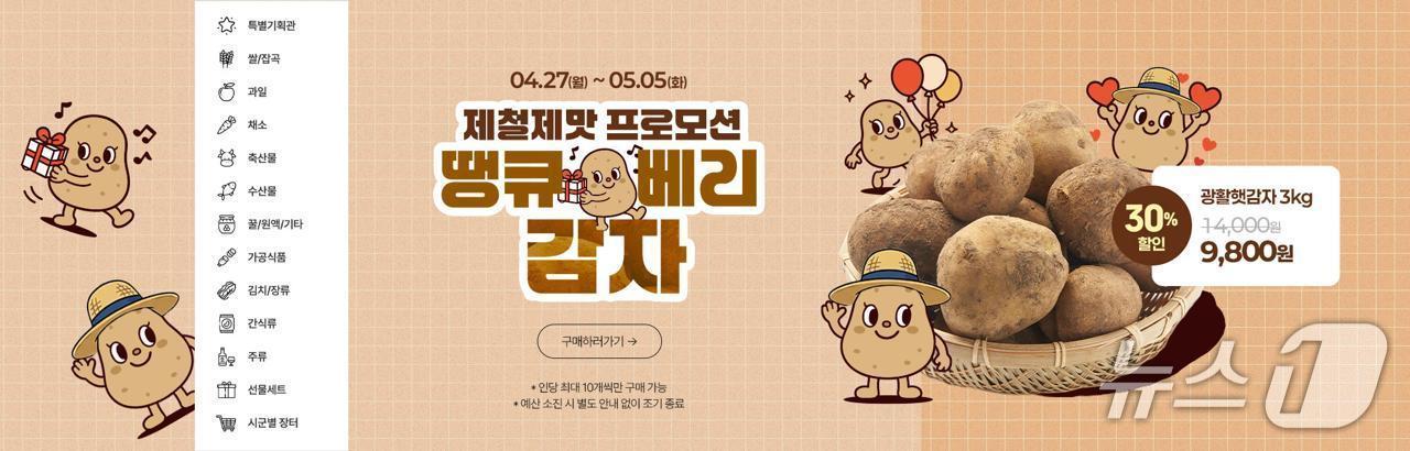 본문 이미지 - 전북경제통상진흥원과 전북도·전북농협이 '전북생생장터 제철제맛 산지 기획전 3탄'을 통해 김제 '햇 광활감자'를 특가로 판매한다.(전북경진원 제공. 재판매 및 DB 금지)